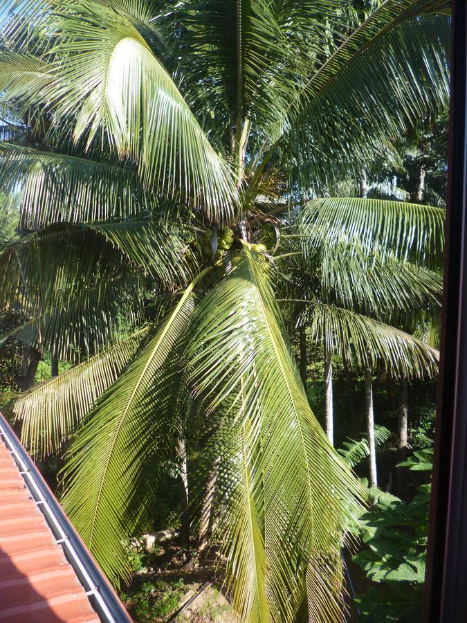 Evening Star Guest Inn Kandy Exterior foto